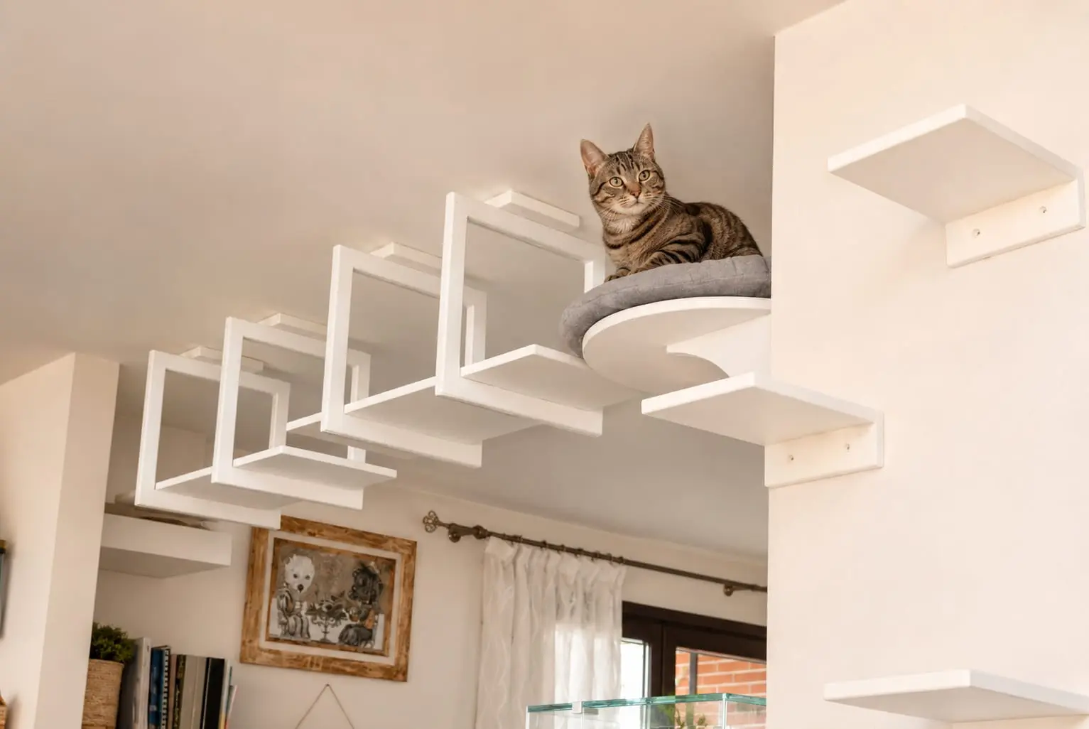 Come creare una casa adatta al gatto