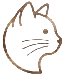 Conosciamo il gatto