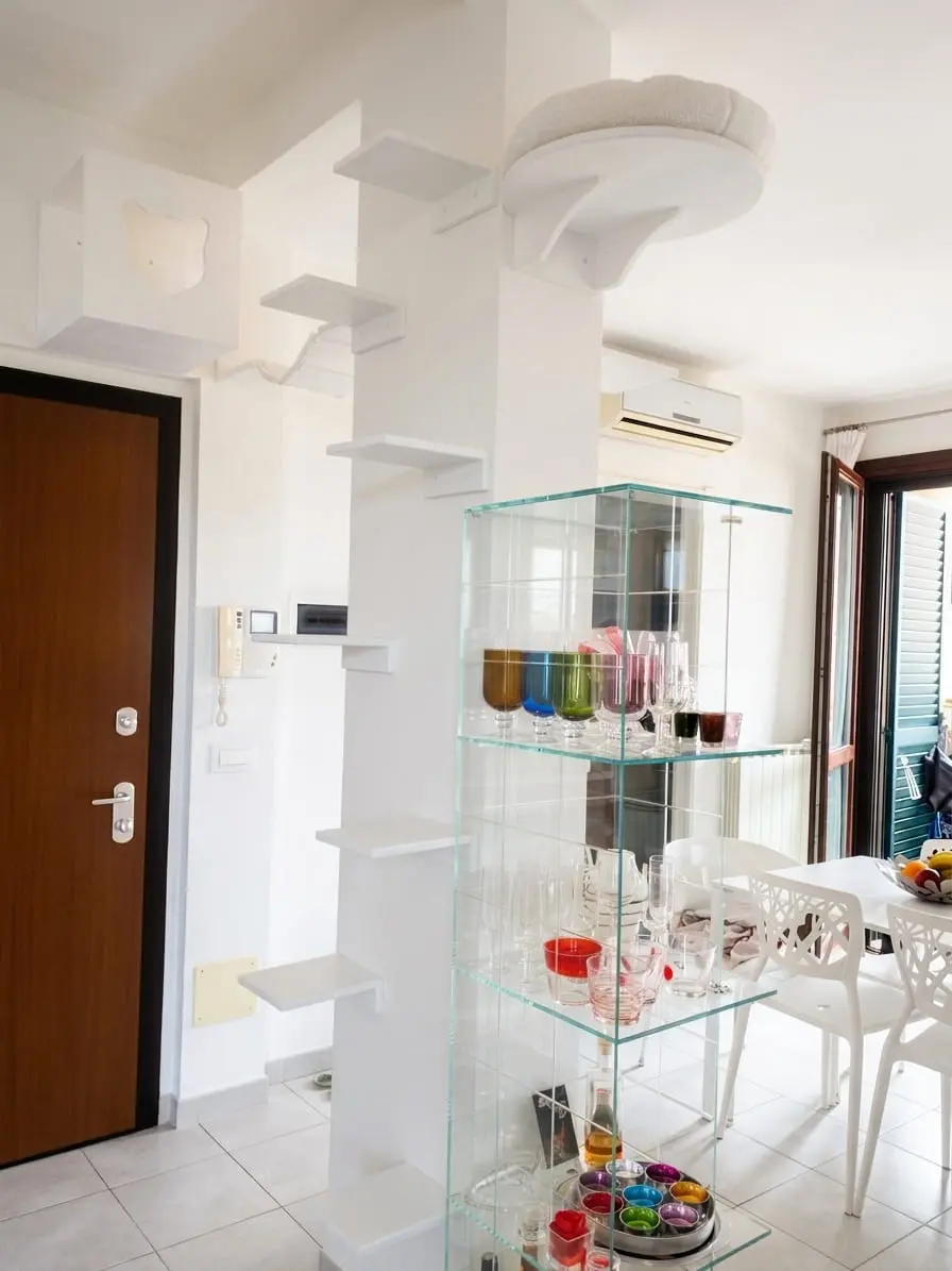 Progetto in legno per gatti