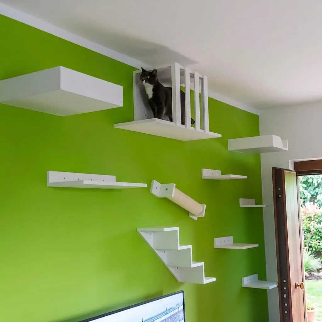 Progetto in legno per gatto