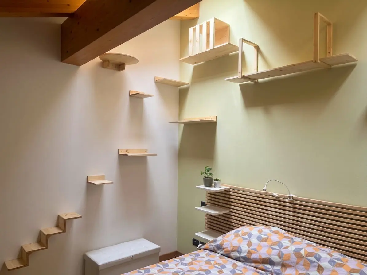 Progetto in legno per gatto