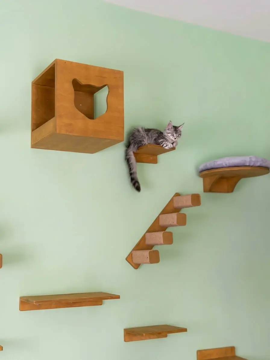 Progetto in legno per gatti